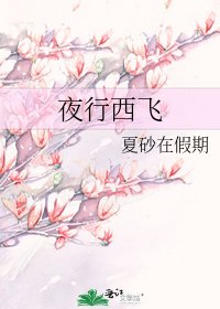 《夜行西飞》