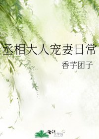 《丞相大人宠妻日常》