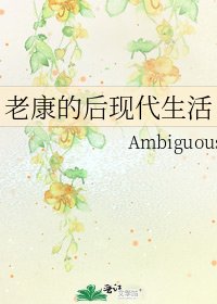 《老康的后现代生活》
