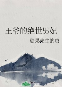《王爷的绝世男妃》