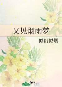 《又见烟雨梦》