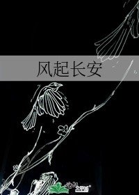 《风起长安》