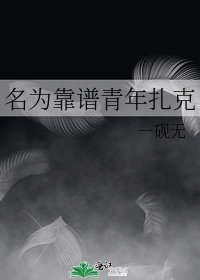 《名为靠谱青年扎克》