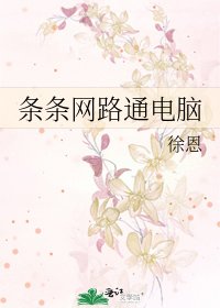 《条条网路通电脑》