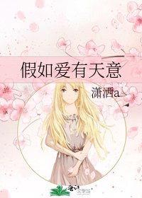 《假如爱有天意》