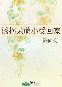 《诱拐呆萌小受回家》