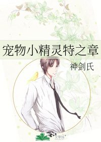 《宠物小精灵特之章》