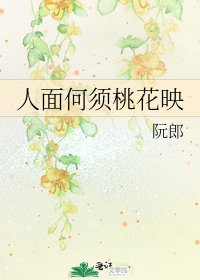 《人面何须桃花映》