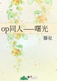 《op同人——曙光》