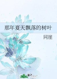 那年夏天飘落的树叶