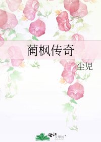 《蔺枫传奇》