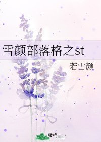 《雪颜部落格之st》