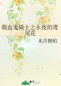 《吸血鬼骑士之永夜的鸢尾花》
