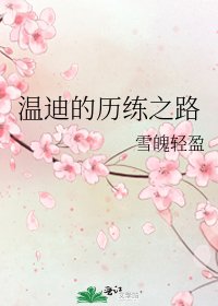 温迪的历练之路