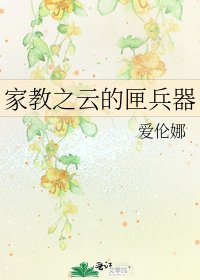 《家教之云的匣兵器》