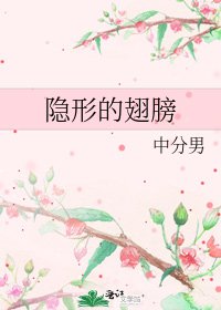 《隐形的翅膀》