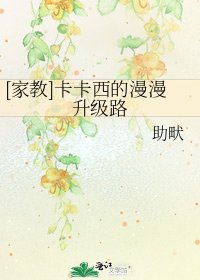 [家教]卡卡西的漫漫升级路