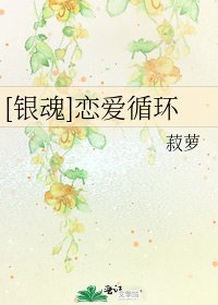 [银魂]恋爱循环