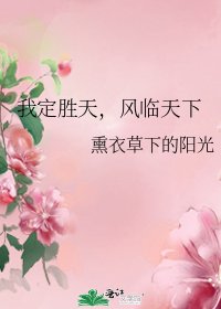 《我定胜天,风临天下》