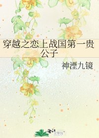 《穿越之恋上战国第一贵公子》