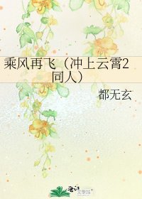 《乘风再飞(冲上云霄2同人)》