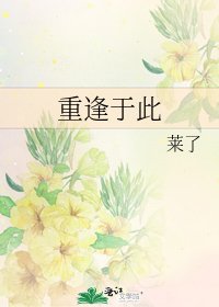 《重逢于此》