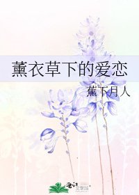 《薰衣草下的爱恋》