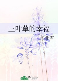 《三叶草的幸福》