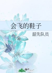 《会飞的鞋子》