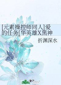 [元素操控师同人]爱的任务[华英雄X黑神]