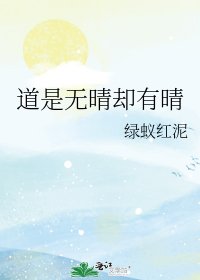 《道是无晴却有晴》