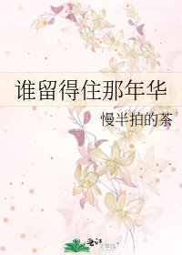 《谁留得住那年华》