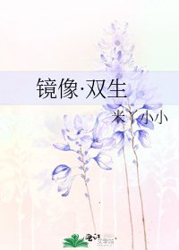《镜像·双生》