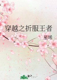 《穿越之折服王者》