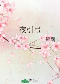 夜引弓