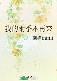 《我的雨季不再来》