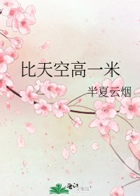 《比天空高一米》