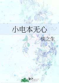 《小电本无心》
