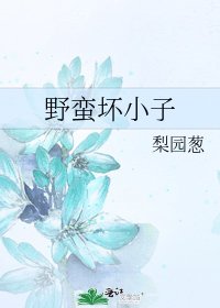 《野蛮坏小子》