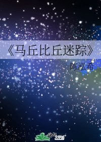 《马丘比丘迷踪》