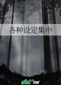 各种设定集中