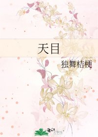 《天目》