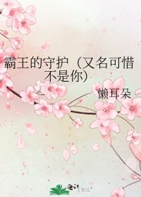 霸王的守护（又名可惜不是你）