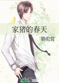 家猪的春天