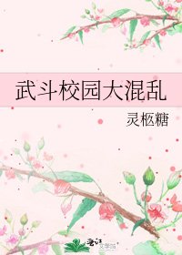 《武斗校园大混乱》