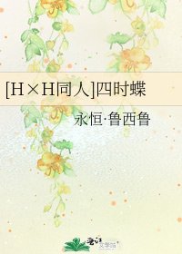 [H×H同人]四时蝶