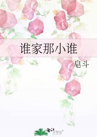 《谁家那小谁》