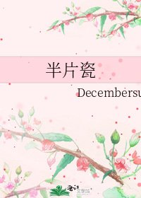 半片瓷