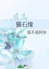 《猫石缘》