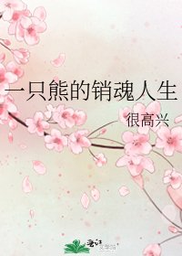 《一只熊的销魂人生》